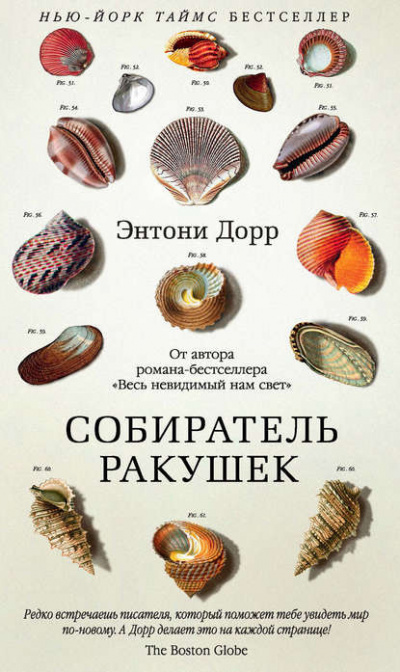 Дорр Энтони - Собиратель ракушек