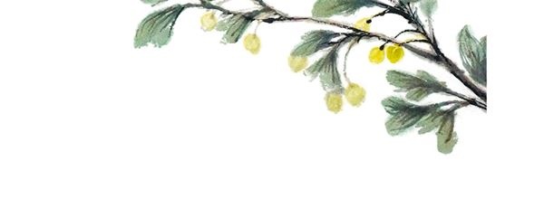 Китайские мифы для детей Китайские мифы для детей