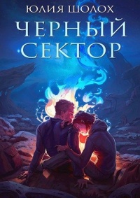 Чёрный сектор - Юлия Шолох