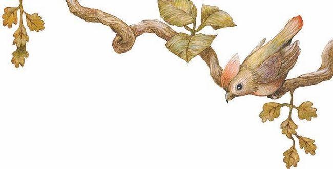 В сонном-сонном лесу… Сказки для засыпания В сонном-сонном лесу… Сказки для засыпания