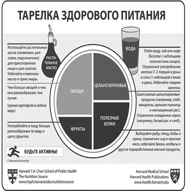 В поисках волшебной таблетки. Научно-популярная сказка В поисках волшебной таблетки. Научно-популярная сказка