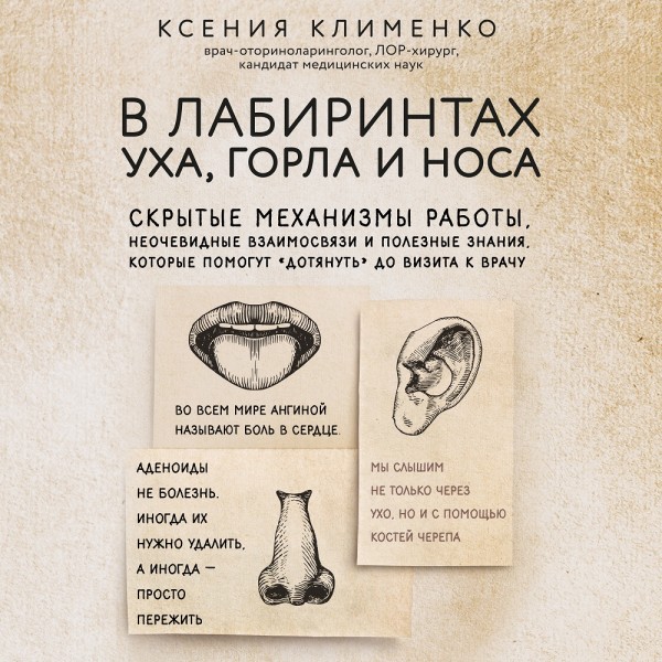 В лабиринтах уха, горла и носа. Скрытые механизмы работы, неочевидные взаимосвязи и полезные знания, которые помогут "дотянуть" до визита к врачу