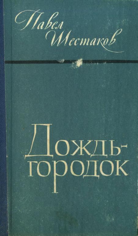 Дождь-городок - Павел Александрович Шестаков