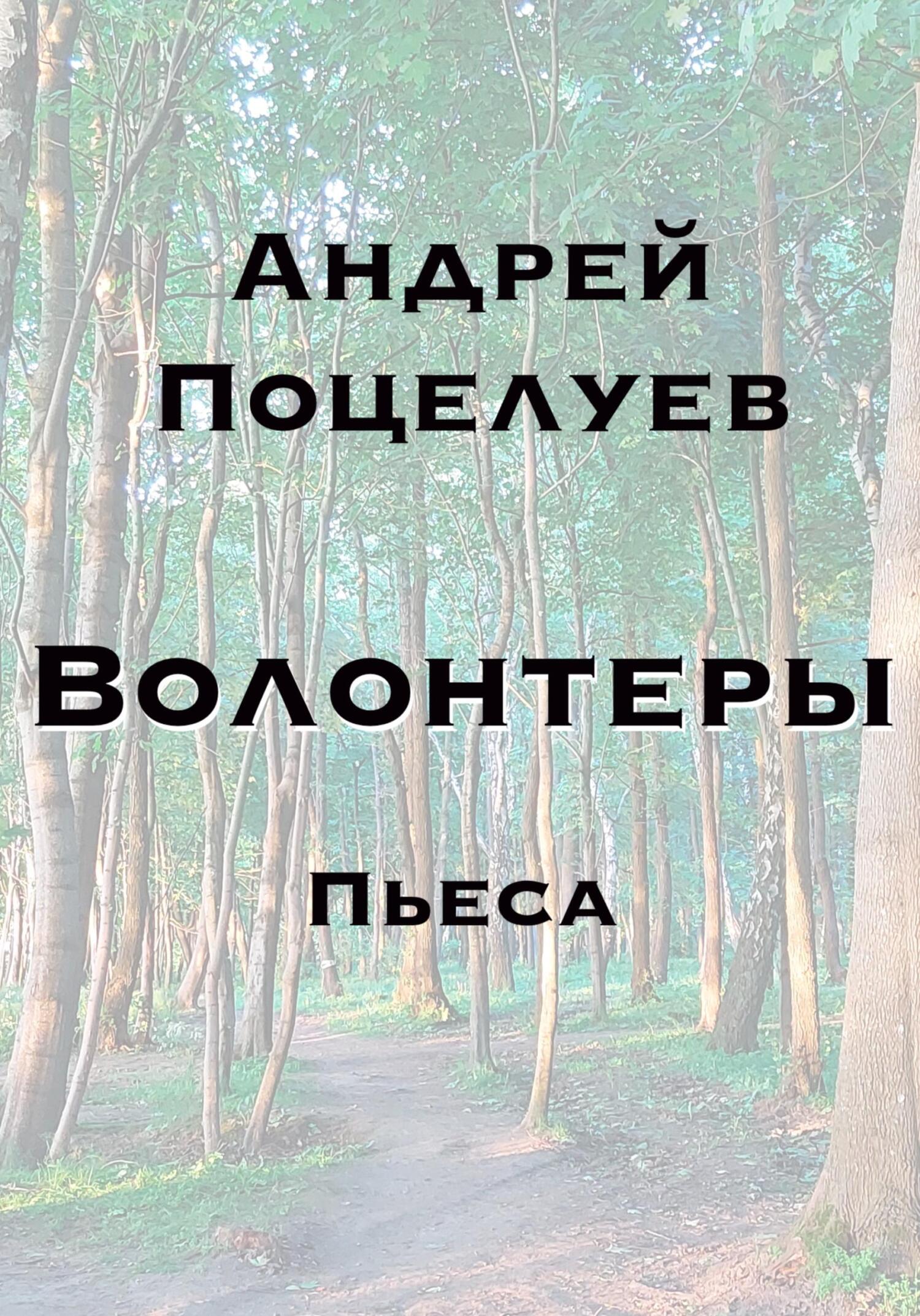 Волонтеры - Андрей Владимирович Поцелуев