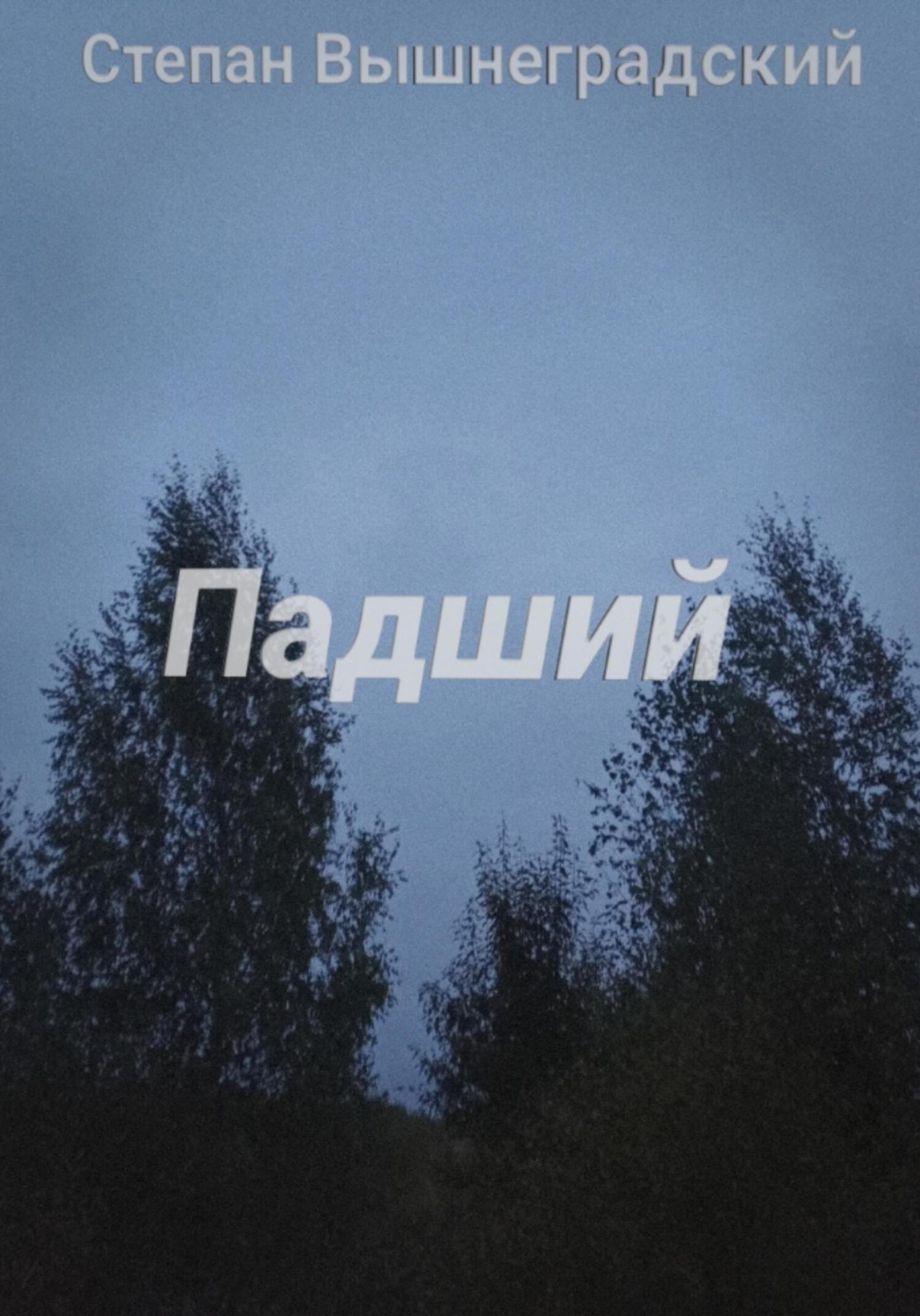 Падший - Степан Вышнеградский