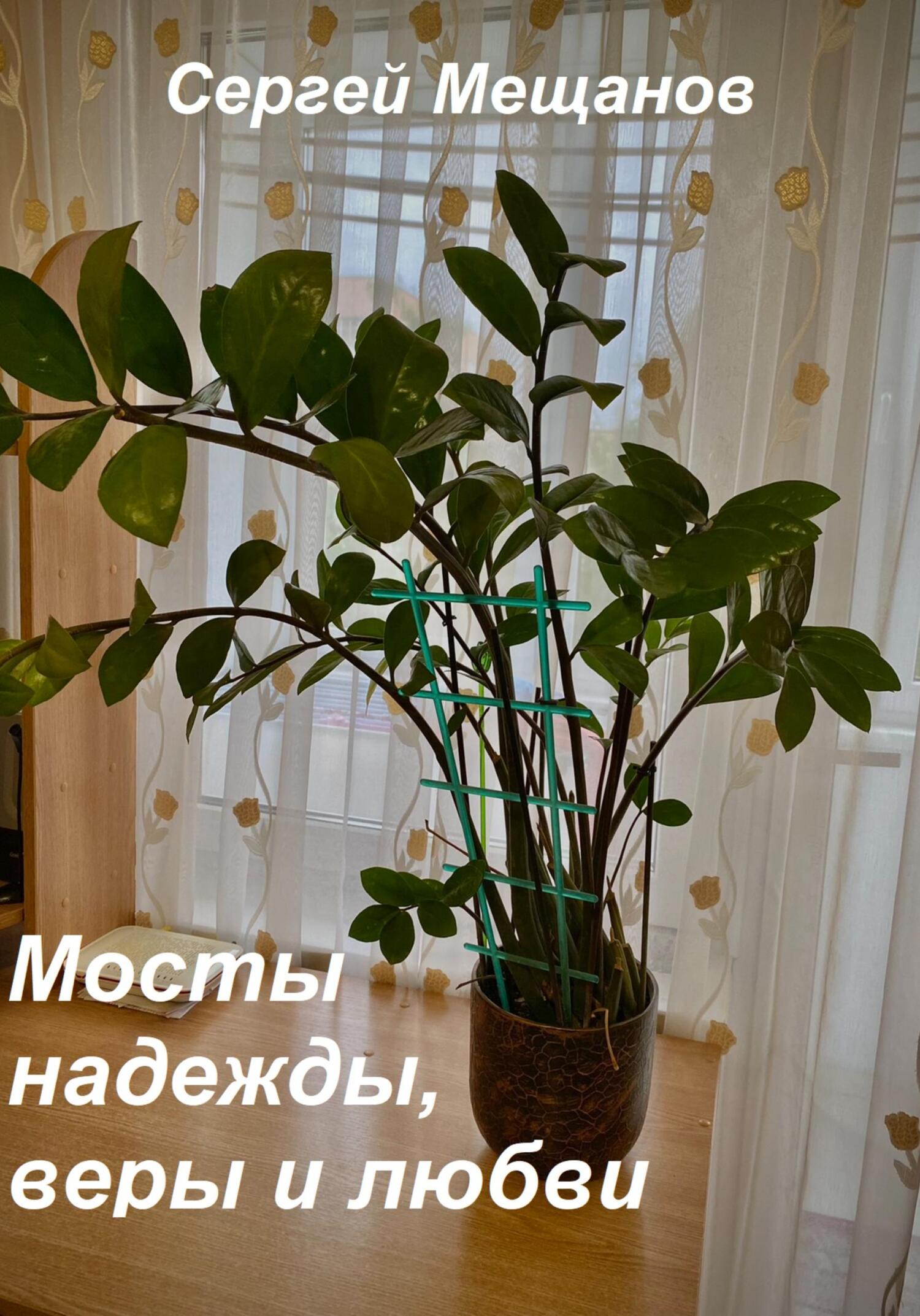 Мосты надежды, веры и любви - Сергей Алексеевич Мещанов