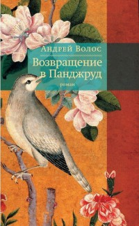 Возвращение в Панджруд - Андрей Волос