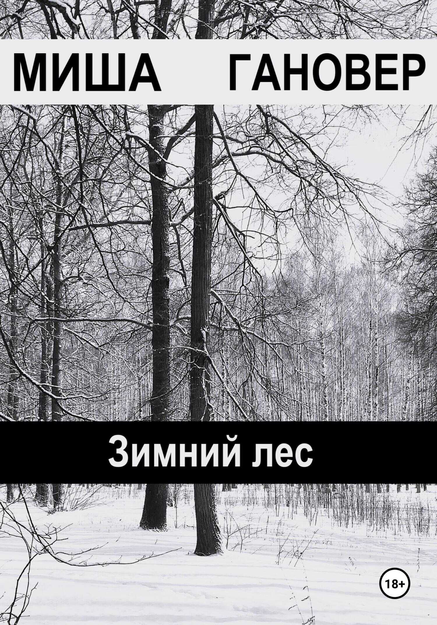 Зимний лес - Миша Гановер