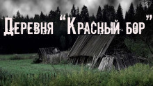 Скоркина Юлия - Деревня «Красный бор»