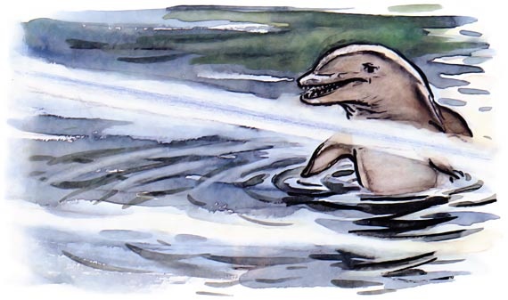 Подводные береты Подводные береты