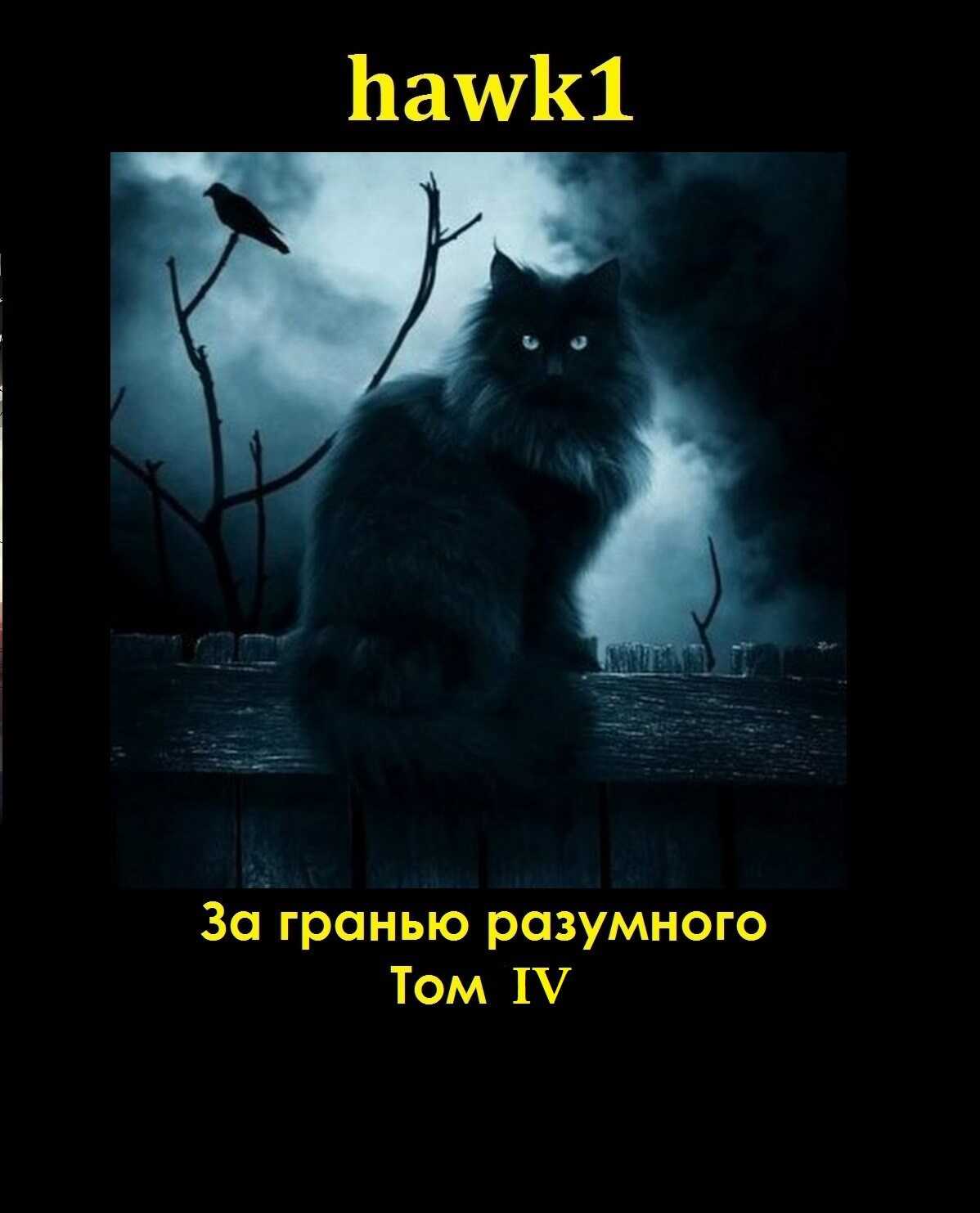 За гранью разумного. Том 4. - hawk1