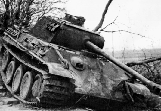 Разгром 1945. Битва за Германию Разгром 1945. Битва за Германию