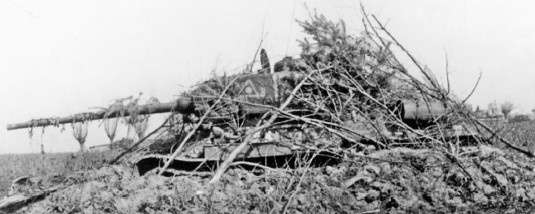 Разгром 1945. Битва за Германию Разгром 1945. Битва за Германию