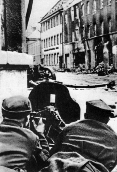 Разгром 1945. Битва за Германию Разгром 1945. Битва за Германию