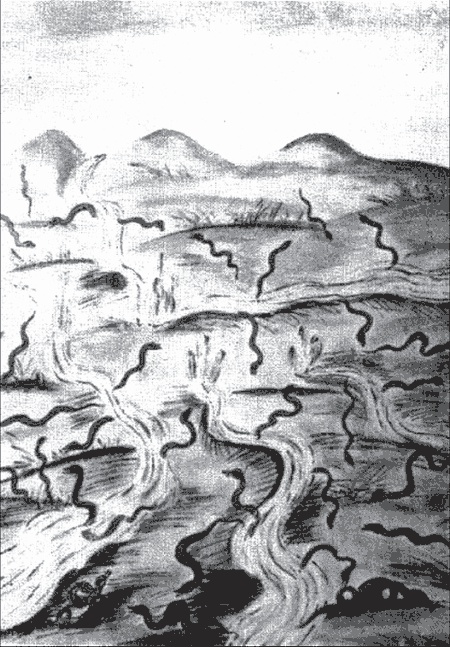 Всадник Всадник