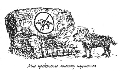 Собачья жизнь Собачья жизнь