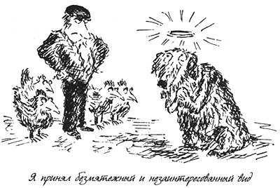 Собачья жизнь Собачья жизнь