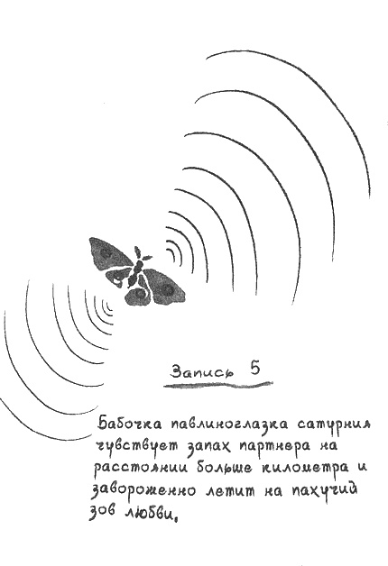 Квантовая теория любви
