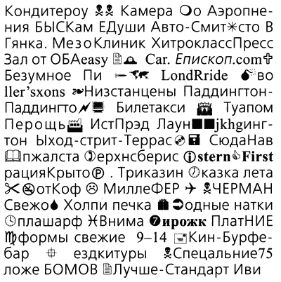 Загадочное ночное убийство собаки