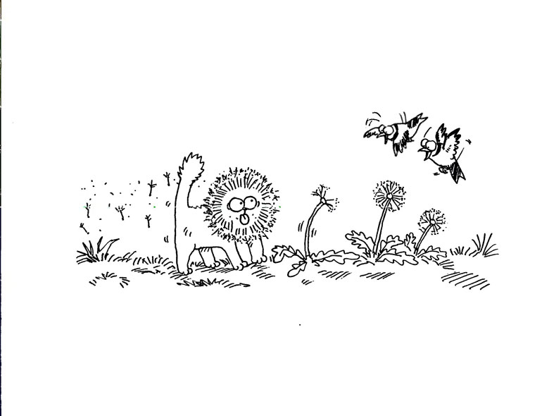 Кот Саймона Кот Саймона
