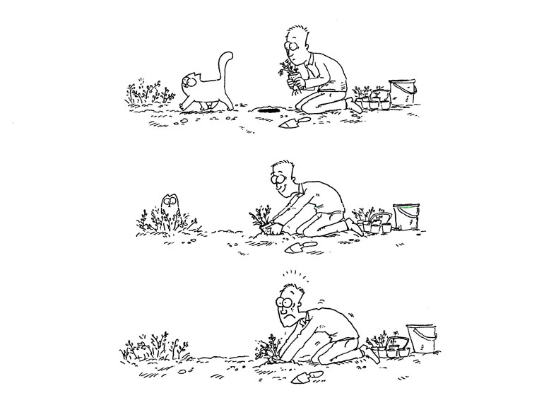 Кот Саймона Кот Саймона
