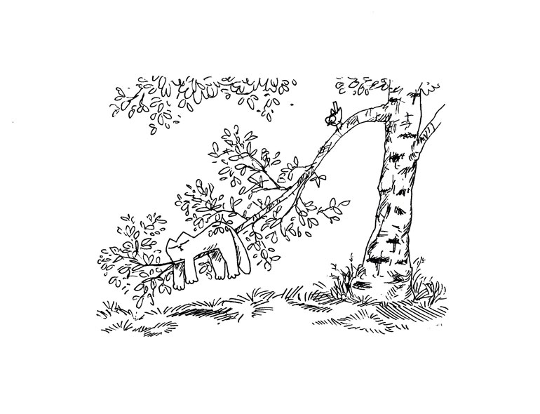 Кот Саймона Кот Саймона