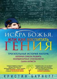 Искра Божья, или Как воспитать гения - Кристин Барнетт