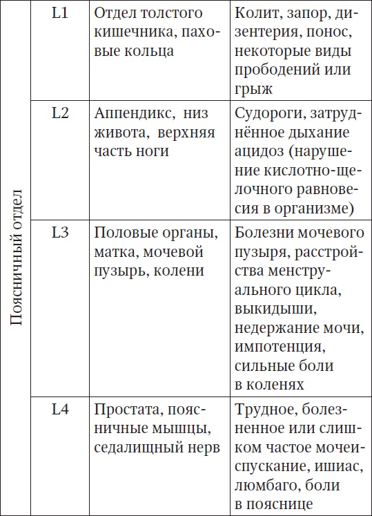 За компьютером без боли в спине За компьютером без боли в спине
