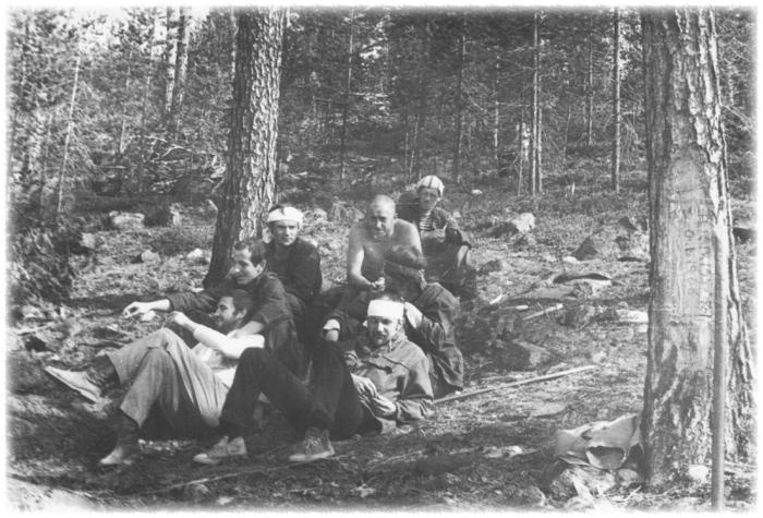 Странник и его страна Странник и его страна