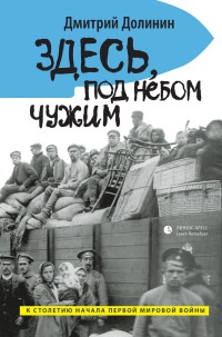 Здесь, под небом чужим - Дмитрий Долинин