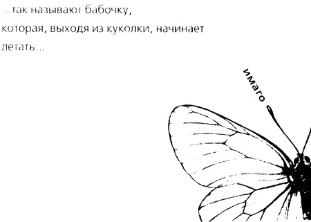Паршивка Паршивка