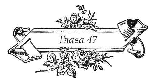Венецианский контракт