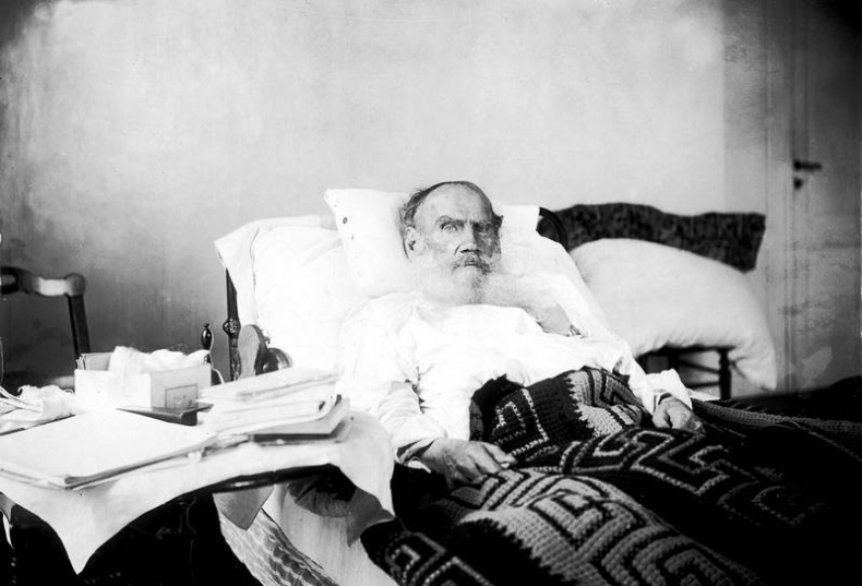 Лев в тени Льва Лев в тени Льва