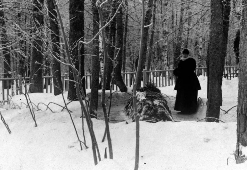 Лев в тени Льва Лев в тени Льва