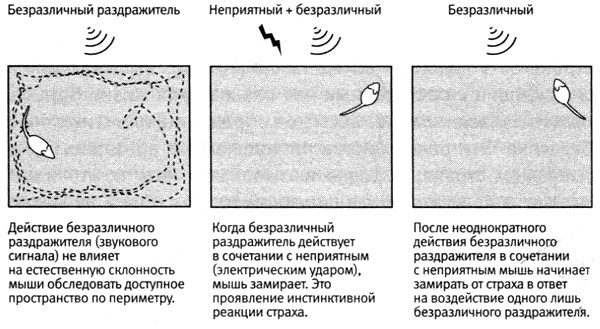 В поисках памяти В поисках памяти