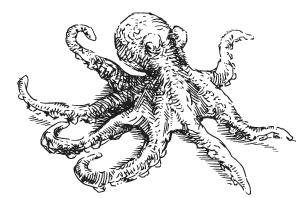 Дары моря, исцеляющие организм Дары моря, исцеляющие организм