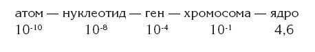 Власть рода. Родовые программы и жизненные сценарии Власть рода. Родовые программы и жизненные сценарии