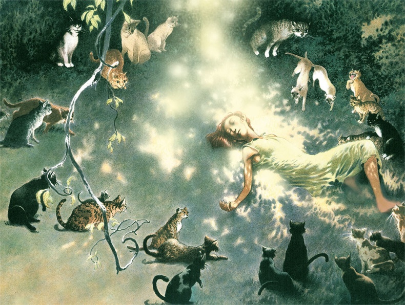 Кошки Дремучего леса Кошки Дремучего леса