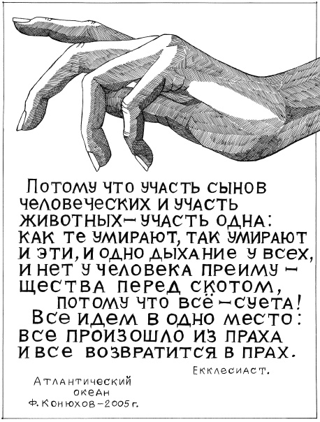 Мой путь к истине Мой путь к истине