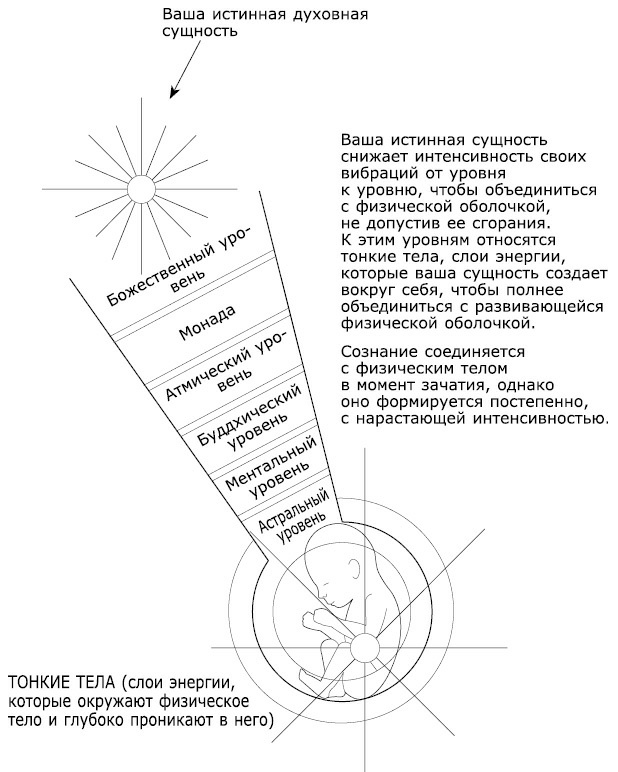 Как видеть и читать ауру Как видеть и читать ауру