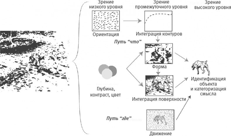 Век самопознания. Поиски бессознательного в искусстве и науке с начала XX века до наших дней Век самопознания. Поиски бессознательного в искусстве и науке с начала XX века до наших дней