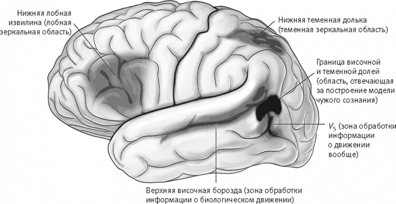 Век самопознания. Поиски бессознательного в искусстве и науке с начала XX века до наших дней Век самопознания. Поиски бессознательного в искусстве и науке с начала XX века до наших дней
