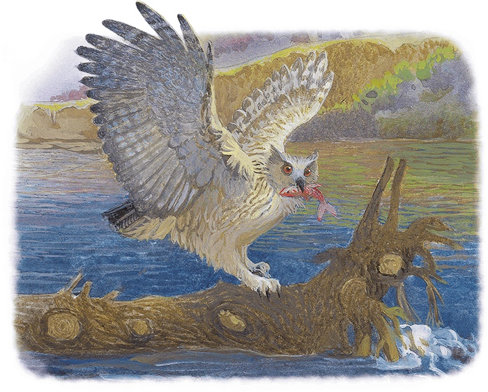 Жук на ниточке Жук на ниточке