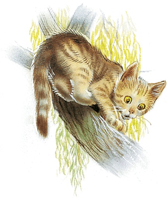 Маруся спешит на помощь. Кошечка. Воробей (сборник) Маруся спешит на помощь. Кошечка. Воробей (сборник)