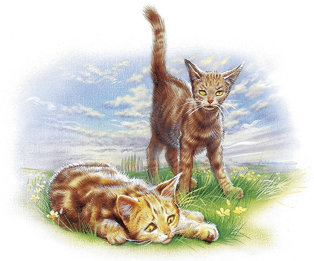 Маруся спешит на помощь. Кошечка. Воробей (сборник) Маруся спешит на помощь. Кошечка. Воробей (сборник)