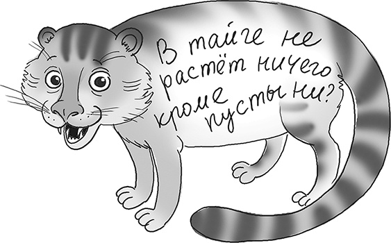 День карапузов День карапузов
