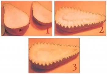 Как украсить праздничный стол Как украсить праздничный стол