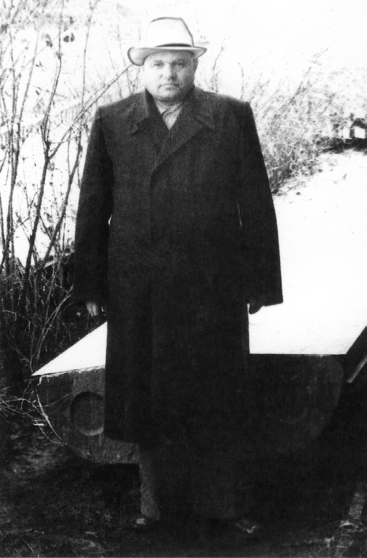 Солнце над лесом (сборник) Солнце над лесом (сборник)