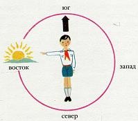 Последний окножираф Последний окножираф