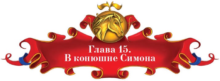 Тайна заколдованного леса Тайна заколдованного леса